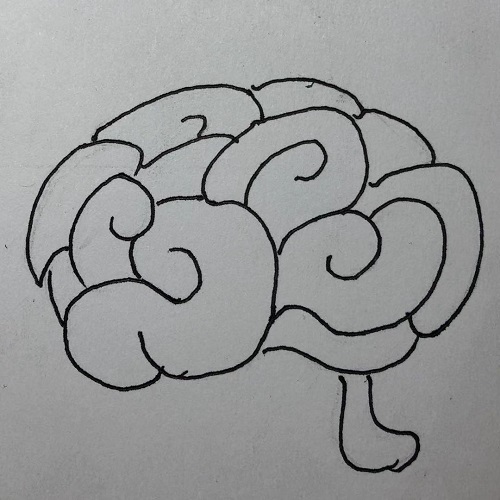 brain